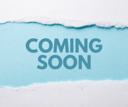 20'x40' High Peak Tent